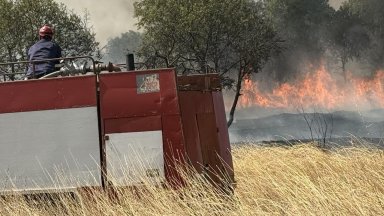 Горят вили край Българово, огънят настъпва към града, задействаха BG-Alert (снимки/видео)