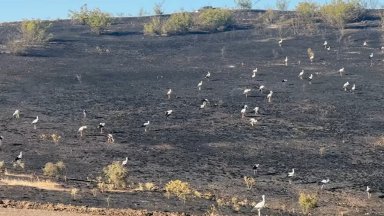 45 годишен мъж от град Българово е задържан за разгорелия се