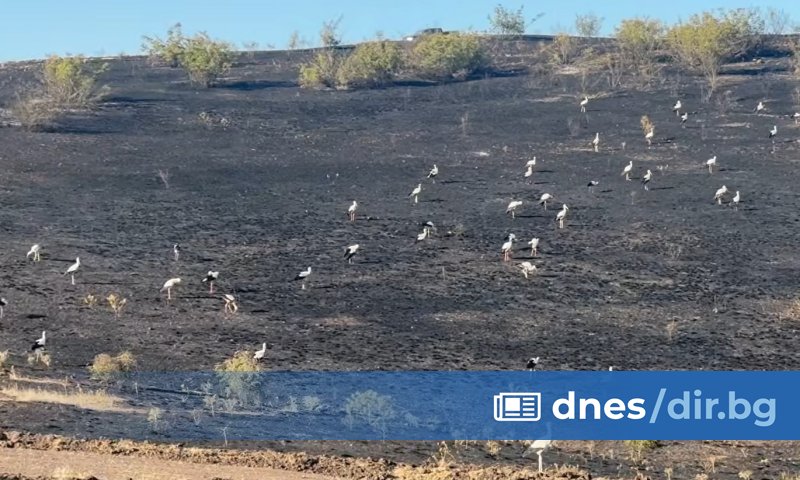 45-годишен мъж от град Българово е задържан за разгорелия се