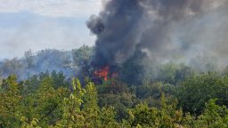 Пожар изпепели близо 20 къщи във вилна зона на Стара Загора (снимки)