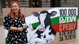 "Те нямат глас, но имат нас": Над 110 000 поискаха забрана за отглеждането на телета в клетки (снимки)
