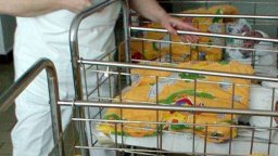 59 бебета са родени с помощта на донорската инвитро програма на Столичната община