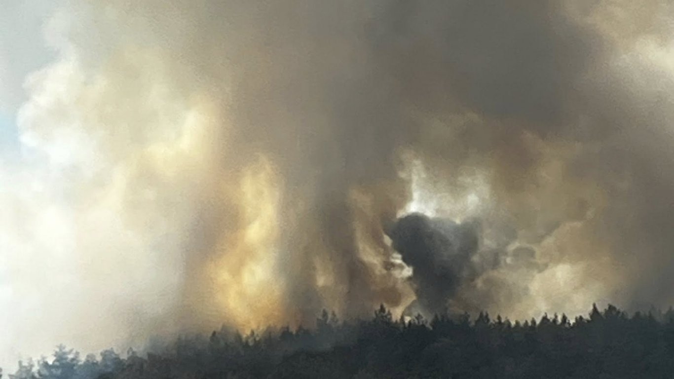 Учени използват изкуствен интелект за по-добро предвиждане на пожари