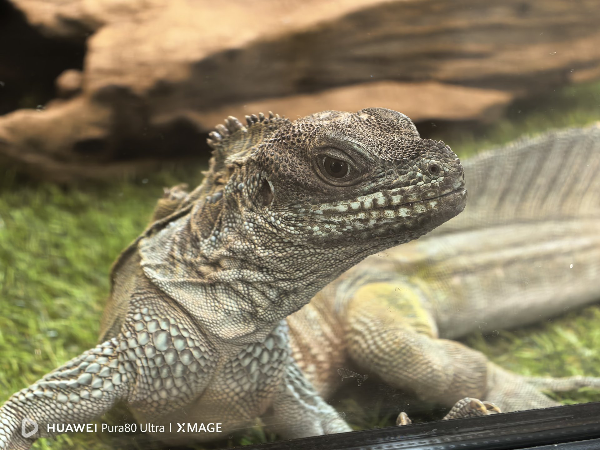 Снимка с Huawei Pura 80 Ultra