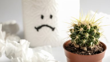 Как ще реагирате ако ви кажа че имате хемороиди И