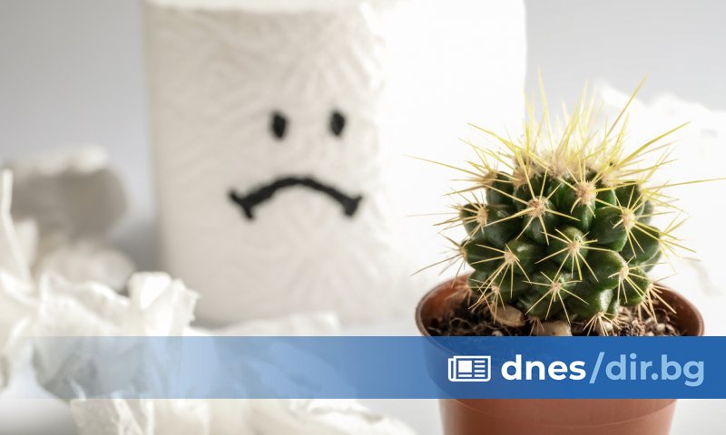 Как ще реагирате, ако ви кажа, че имате хемороиди? И