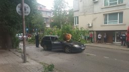 Буреносен вихър с градушка премина над страната, стовари дървета върху коли и пътища (снимки/видео)