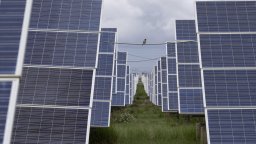 Бум на фотоволтаиците в Китай допринася за леко намаляване на енергийните емисии през 2025 г.