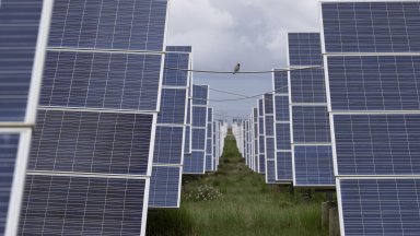 Бум на фотоволтаиците в Китай допринася за леко намаляване на енергийните емисии през 2025 г.