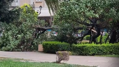 Ден след трагичния инцидент при който 78 годишен мъж загина затиснат