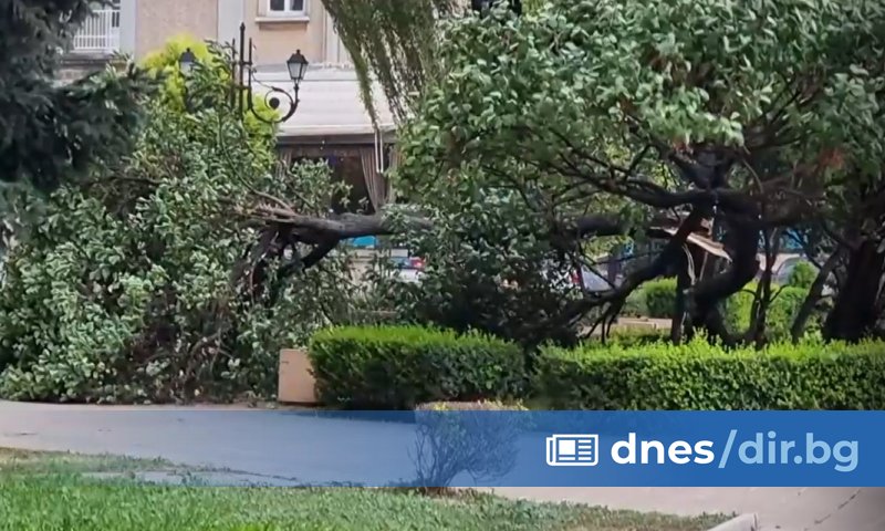 Ден след трагичния инцидент, при който 78-годишен мъж загина, затиснат