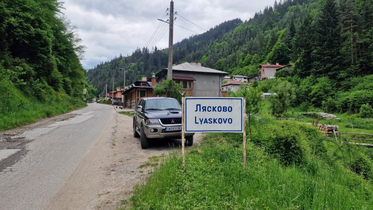 Мечка с малко мече нападна и рани мъж в Родопите