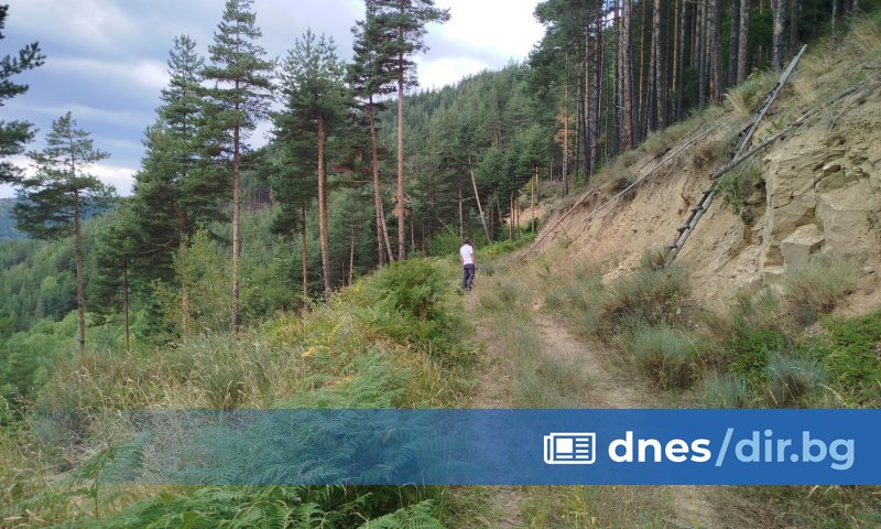 Регионалната инспекция по околната среда и водите (РИСОВ) - Смолян