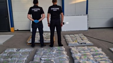 50 кг марихуана в соларни панели превозени с морски контейнер