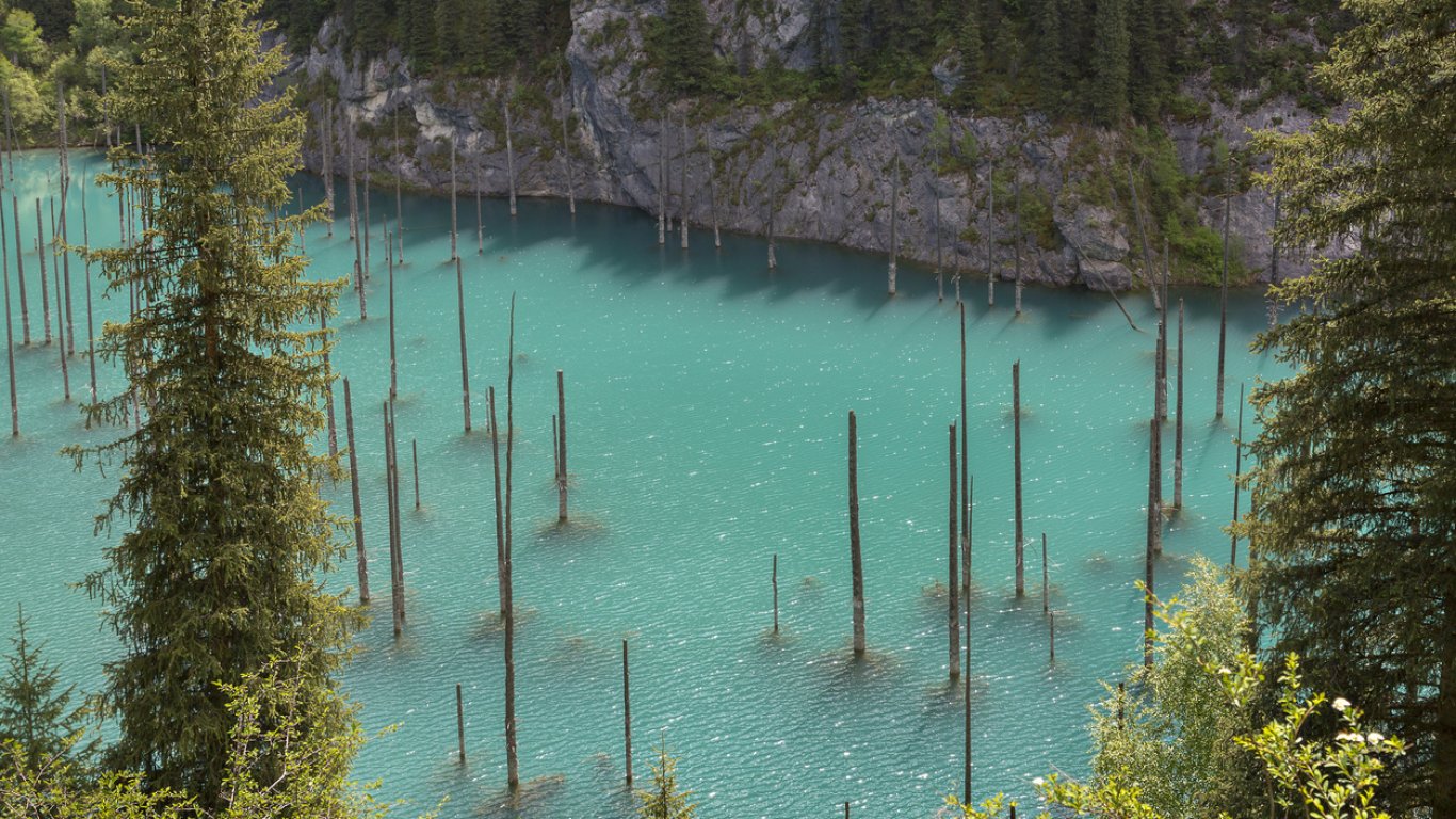 Уникална подводна гора пази очарователна тайна в това планинско езеро (снимки/видео)