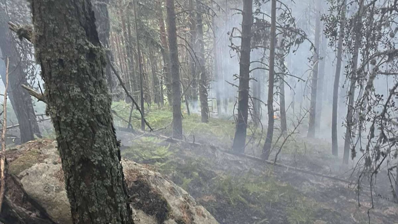 Спасиха премръзнала жена, изгубила се в гора край Варна