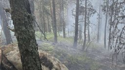Спасиха премръзнала жена, изгубила се в гора край Варна