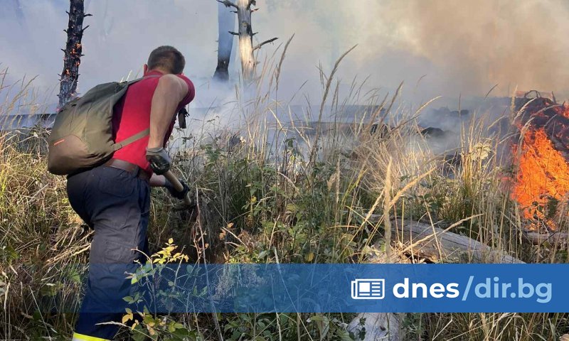 Голям горски пожар избухна в местността Клисурите на Чипровци в ранния