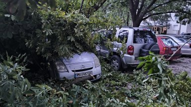 Паднали дървета, пожари и щети след бурята в Кюстендил (видео)