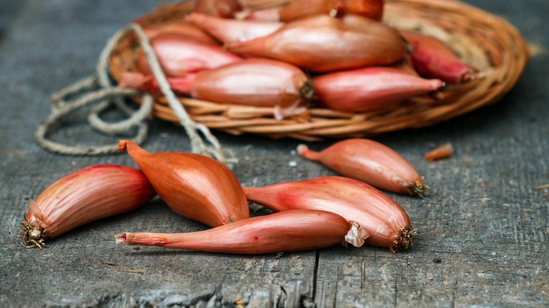 Шалотът - изисканият лук, достоен за короната във френската кухня