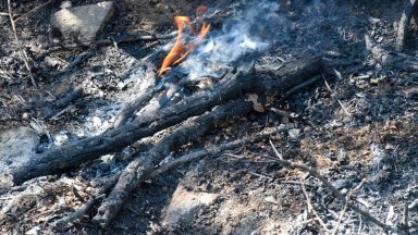 Десети ден продължава гасенето на пожара който пламна на територията