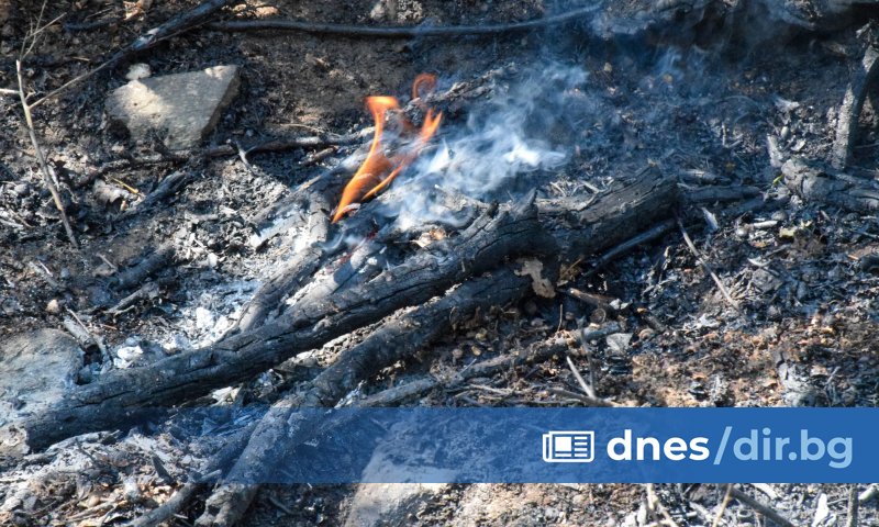 Десети ден продължава гасенето на пожара, който пламна на територията