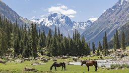 Киргизстан се утвърждава като топ дестинация за приключенски туризъм