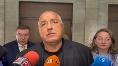 Лидерът на ГЕРБ Бойко Борисов обвини инициаторите на петия вот