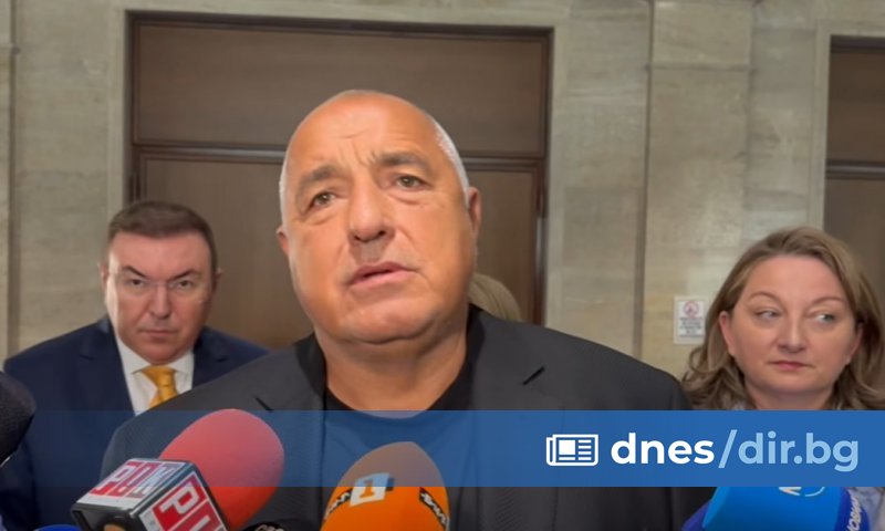 Лидерът на ГЕРБ Бойко Борисов обвини инициаторите на петия вот