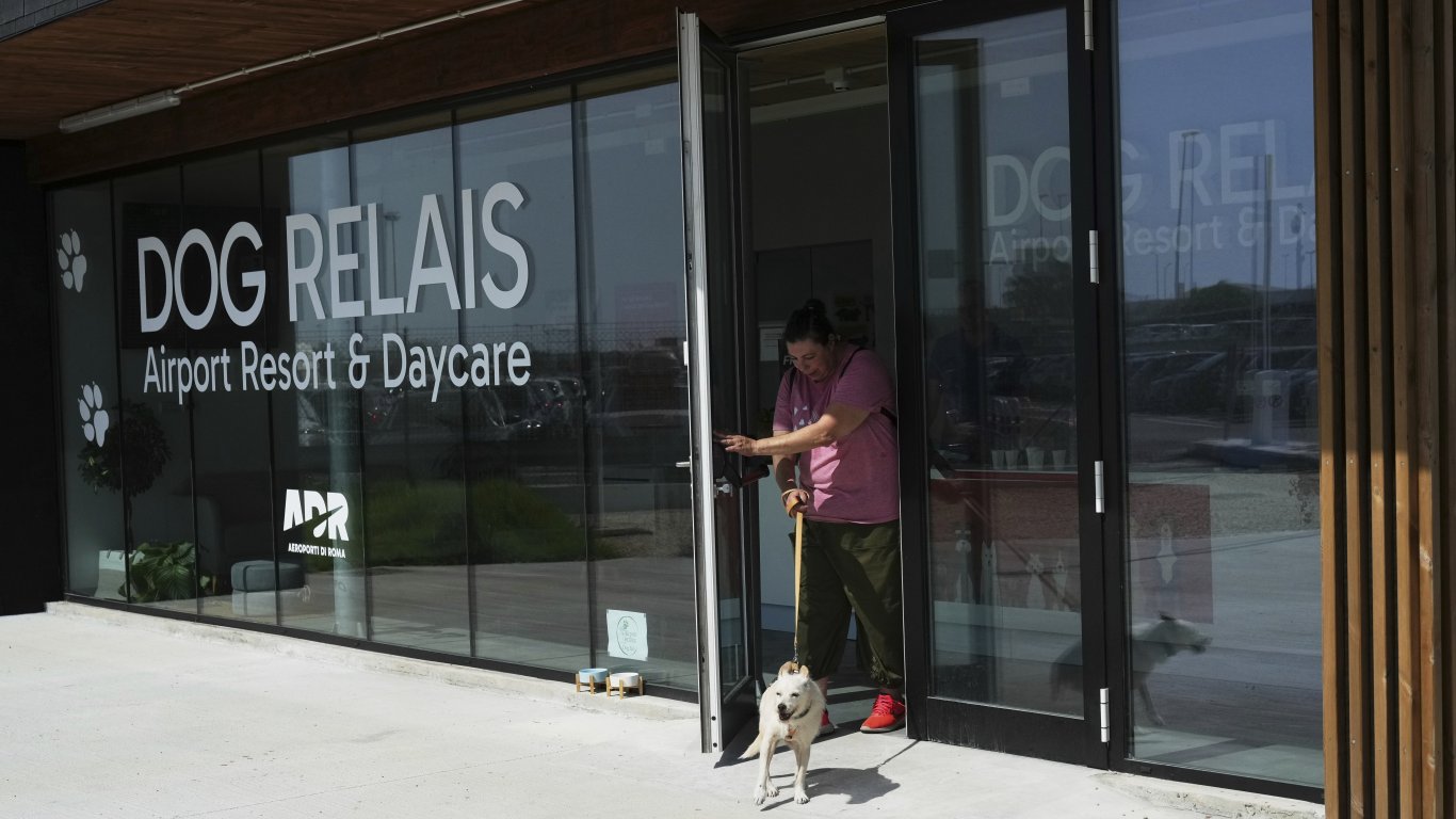 Луксът ги успокоява: Международното летище в Рим отвори хотел за кучета с куп екстри