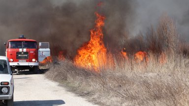 Мъж е задържан за умишления палеж на защитената местност Калимок Бръшлен