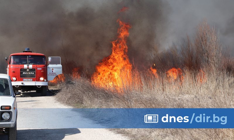 Мъж е задържан за умишления палеж на защитената местност Калимок-Бръшлен