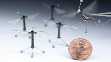 DARPA залага сериозно на шпионски роботи с размер на насекоми