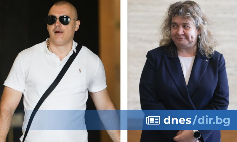 Още по тематаНе тръгна делото за плагиатство срещу Петър Илиев,