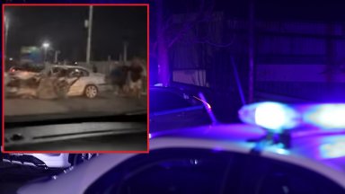 Шофьор се заби в дърво в Пловдив, предницата на колата е смачкана до неузнаваемост (видео)