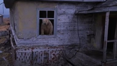 са превзели изоставена съветска полярна изследователска станция на малък остров