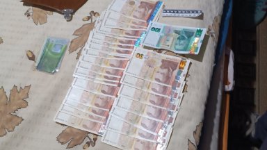 7 уволнени за рушвети за последните 8 месеца в ДАИ