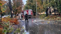 Паднали дървета и клони блокираха трафика в Русе (снимки)