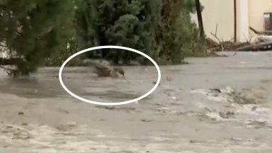 Багерист е отнесен от прииждащата вода в "Елените" пред очите на спасители