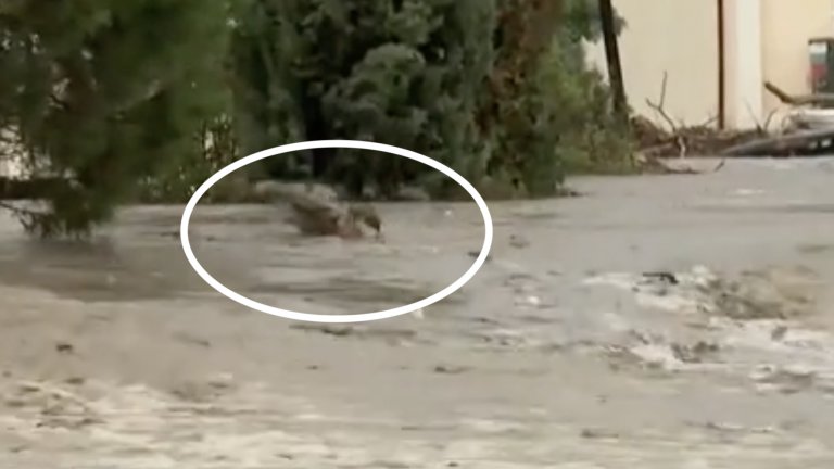 Багерист е отнесен от прииждащата вода в "Елените" пред очите на спасители