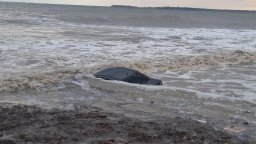 Спасено е възрастното семейство в автомобила, отнесен в морето на Елените (снимки/видео)