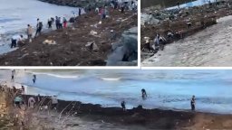 Десетки грабят столевки от морето в Царево, отнесеният сейф се разби край понтона (видео)