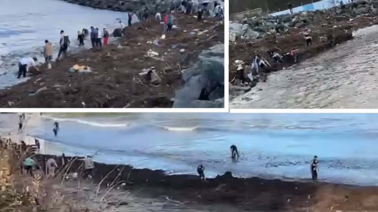 Десетки грабят столевки от морето в Царево, отнесеният сейф се разби край понтона (видео)
