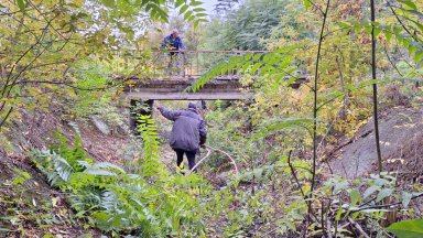 Кметът на Царево и областният управител на Добрич задействаха системата