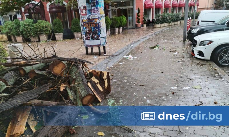 Вятърът събори дърво върху автомобили в центъра на Сливен. Инцидентът