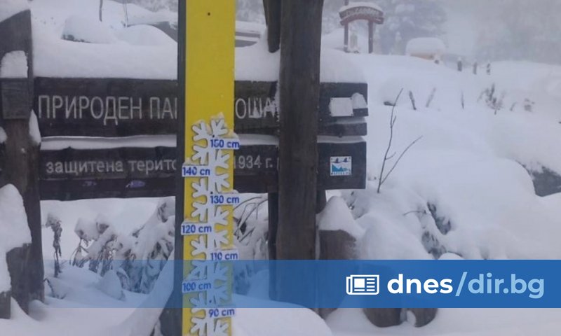 Няколко паднали дървета имаше на територията на областта, едно в