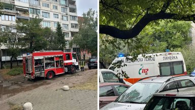 Бебе на 5 дни и 73 годишна жена са обгазени след