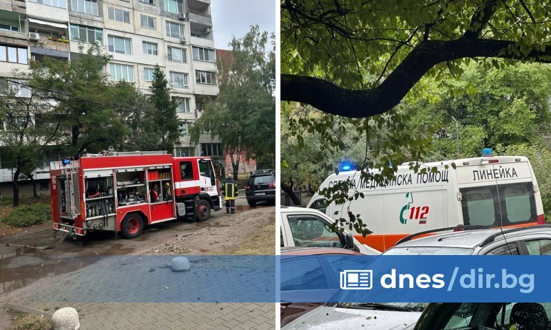 Бебе на 5 дни и 73-годишна жена са обгазени след