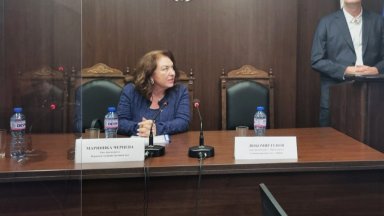 Мариника Чернева е дала съгласие да бъде определена за и.ф. председател на ВАС