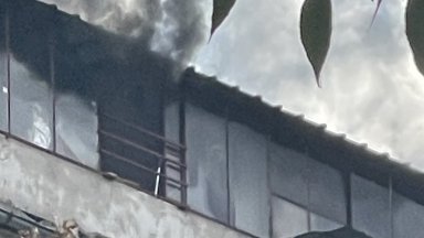 Пет екипа на пожарната гасиха в Пловдив предава БТА Огънят обхвана